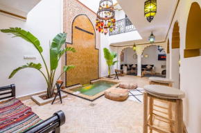 Riad Dar el hana en centre ville rooftop et bassin